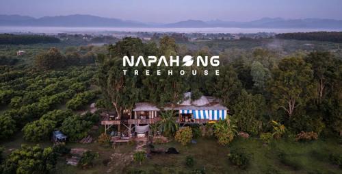Phrao House | Napahong Treehouse นาป่าฮง Andromeda & Cassiopeia
