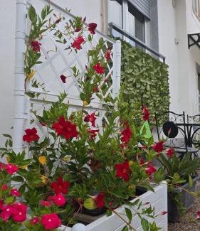 Secondigliano Bed & Breakfast | Napoli è Passione