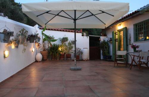 Kontos House | Narcissus