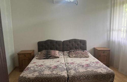 Martivili House | Naro's House