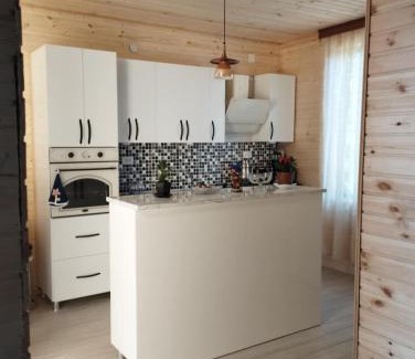 Ambrolauri Villa | Natas Saxli