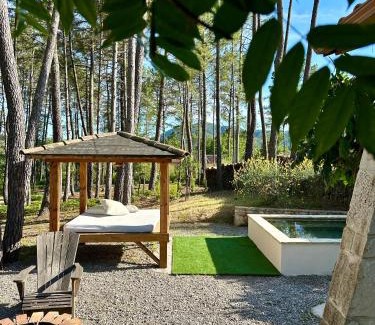 Gagnieres House | natur o lodge piscine