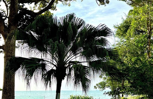 Bang Sare Villa | Natural Villas - Front Beach Luxury 3 bedrooms Villa Private pool Na Jomtien