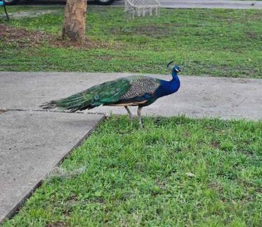 Homosassa House | Nature Coast Getaway #1 - Cozy 2 Bedroom