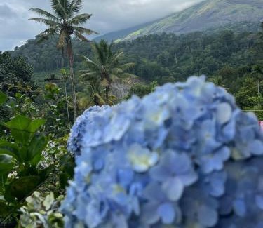 Devikolam House | NATURE FAMILY HOMESTAY