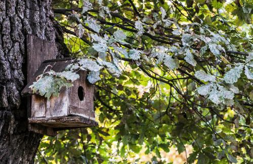 Vurshets Villa | Nature Guesthouse