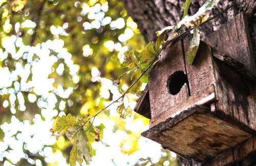 Vurshets Villa | Nature Guesthouse