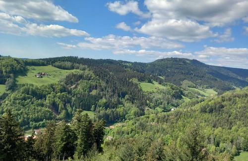 Bad Peterstal-Griesbach Apartment | Naturnahe Ferienwohnung mit Außenbereich. Haustierfreundlich!