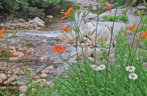 Lincoln Cabin | nCamp David: Heart of the Wht. Mtns. N. Lincoln NH. Clean & Well Maintained