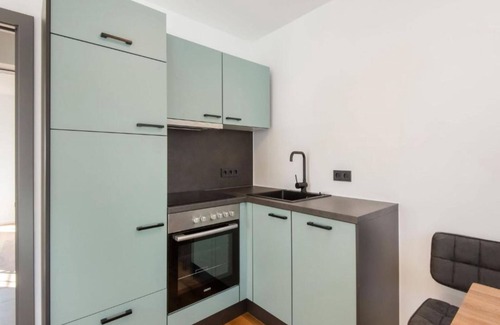 Dienten am Hochkoenig Apartment | Neat apartment with a sunny balcony