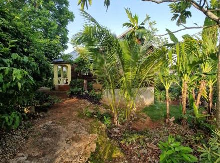 Negril House | Negril Humble Cabin