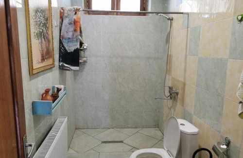 Gurjaani House | Nelis Guesthouse