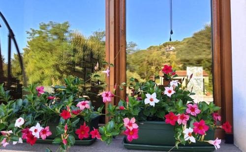 Cinto Euganeo House | Nella natura del parco dei Colli Euganei