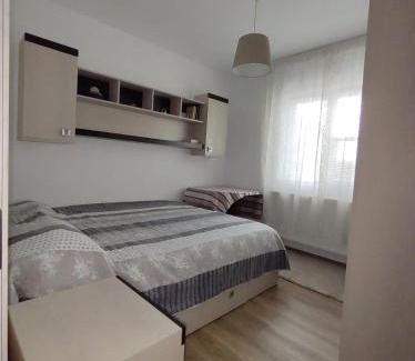 Pucioasa Apartment | Nelly's Home
