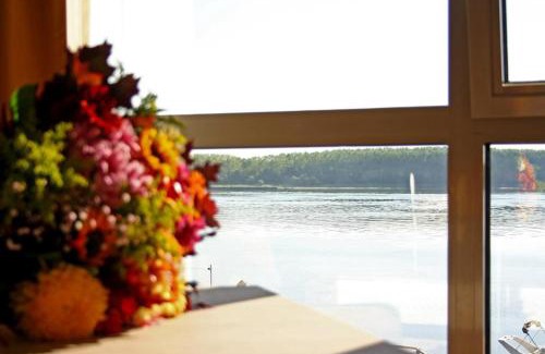 Braila Hotel | Nemo