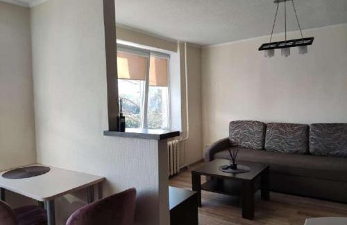Panevezys Apartment | Nemunas