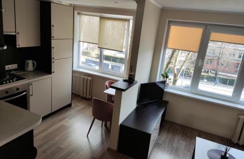 Panevezys Apartment | Nemunas