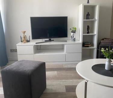 Panevezys Apartment | Nemuno apartamentai