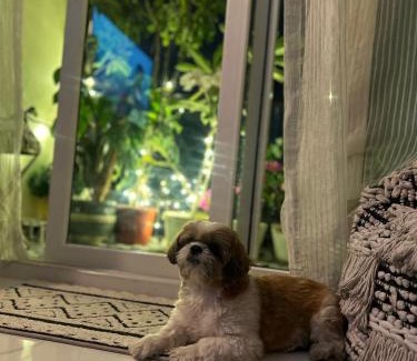 Kolkata House | Nest