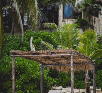 Zona Hotelera Hotel | NEST Tulum