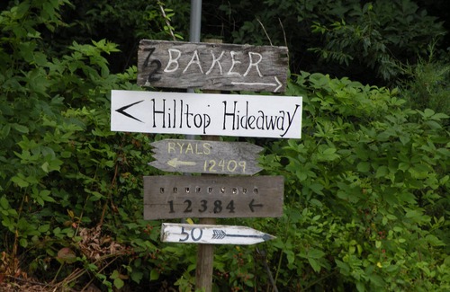Viewtown House | Nestled Among Majestic Trees, Hilltop Hideaway is a Woodland Sanctuary