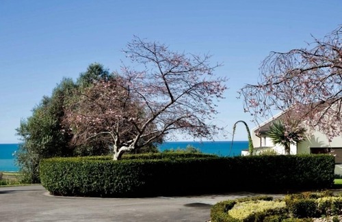 Napier House | Nestled in an olive grove with stunning ocean view