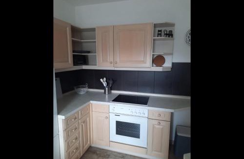 Lengenfeld Apartment | NEU! Geschmackvolle FeWo Lengenfeld