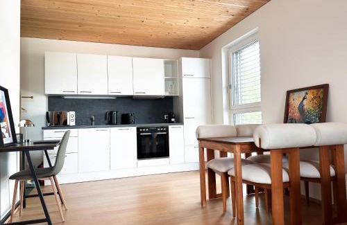 Dornbirn Apartment | Neubau - Business Apartment in Toplage - 24 7 Check-in - WLAN