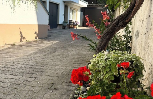 Freinsheim Apartment | Neue, Gemütliche Ferienwohnung für 2 Personen in Altstadtnähe von Freinsheim