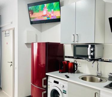 Freiberg am Neckar Apartment | Neuwertiges Apartment mit schnellem WLAN, Netflix, Glasfaser, Kostenlose Privatparkplatz auch für Transporter geeignet R20