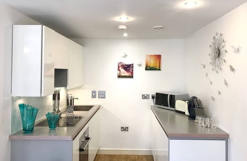 Peninsula Apartment | New 1 Bedroom 1 Bath Flat Next to Greenwich Park & O2 Arena to Host Max 5 Guests