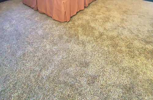 Kerr Cottage | *NEW* 3BR Modern FARMdominium