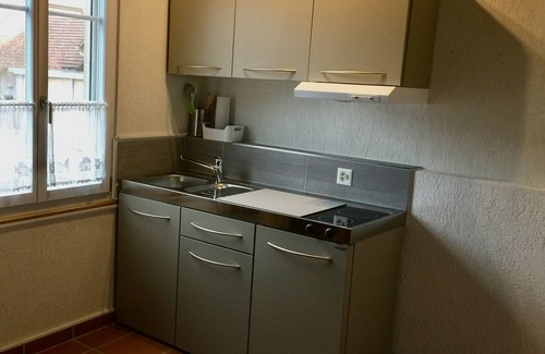 Buren zum Hof Apartment | New at FeWo-direkt: Spacious studio with ambience, fireplace and sauna