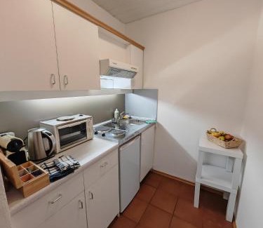 Wilten Apartment | New! Central apartment with optional sauna