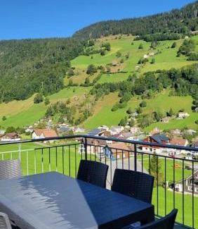 Alt Sankt Johann Ski Chalet | New Chalet with breathtaking views!