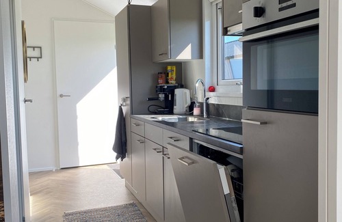 Municipality of Kampen House | NEW Elegant waterfront chalet with jetty Lake Kampen Netherlands vacation home boat