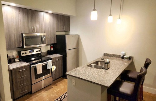 Monroe Ward Condo | New Heart of the Arts District Condo Downtown near MCV VCU Convention Center