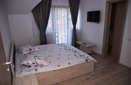 Baiculesti House | New house