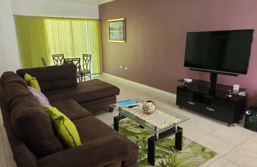 New Kingston Apartment | New Kingston Luxurious Secure Condo