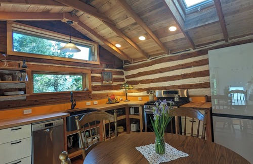 Durango - Purgatory Cabin | New Listing, Premier Host, Historic Cabin newly remodeled, private, quiet, CLEAN