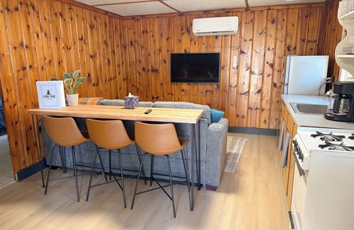 Branch Cabin | New listing! Rustic 6-cabin resort on Long Lake with a beach and waterslide