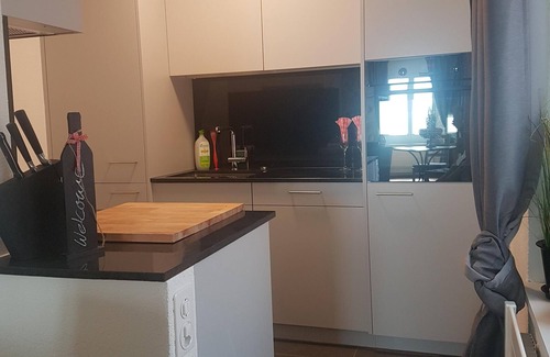 Enge Apartment | New:Lovely 2.5 Room , Dish Washer, Wifi, Fully Equiped, own washer/dryer