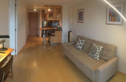 Santiago Apartment | New Modern Apartment in Providencia