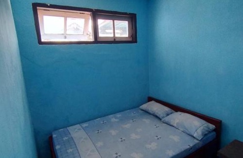 Kalipuro House | NEW OLIVIA HOMESTAY