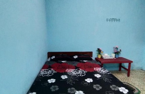 Kalipuro House | NEW OLIVIA HOMESTAY