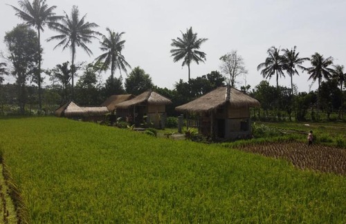 Kotaraja House | New Rinjani Bungalows