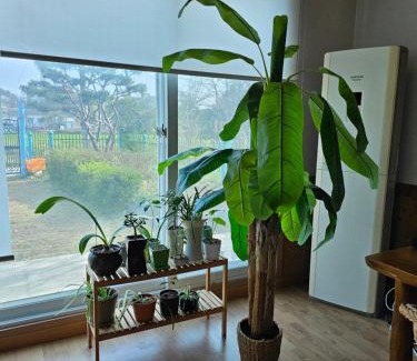 Cheongju House | New stay dear