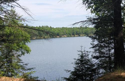Oscoda House | New! The Hideout - Cute And Quiet Rustic Cabin!