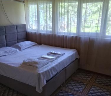 Grigoleti House | New Wave1