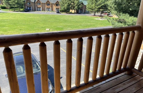 Oglesby Villa | Newer Rustic WiFi Villa by Starved Rock sleeps 8 A guest 5 star favorite